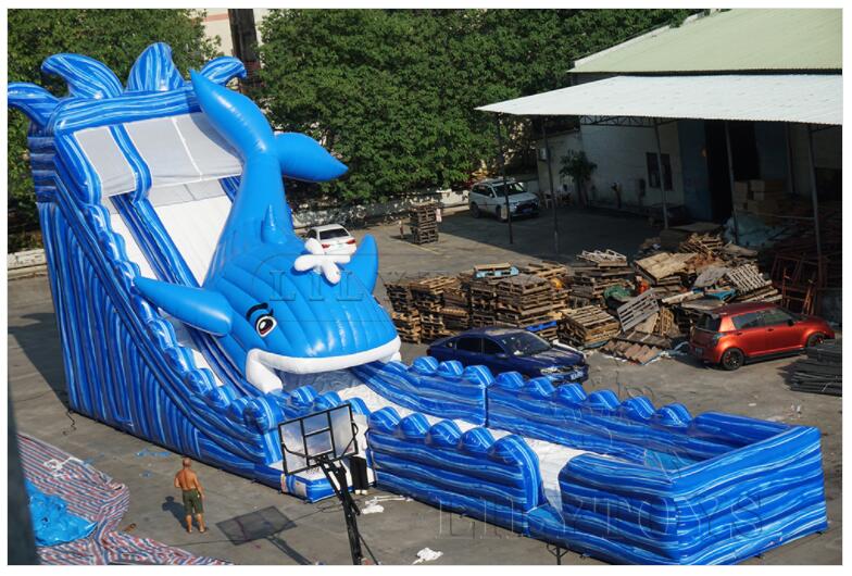 GIANT large inflatable whale inflatable wave slide