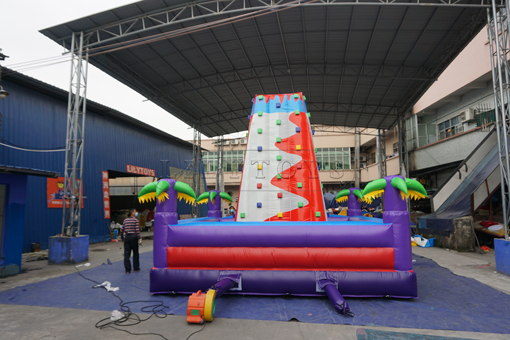 INFLATABLE climbing wall