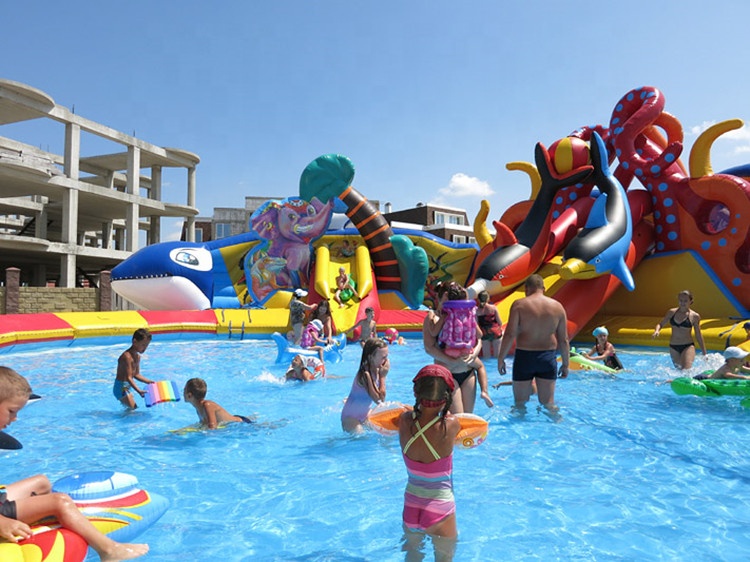 happy dophin big inflatable water park slide with pool