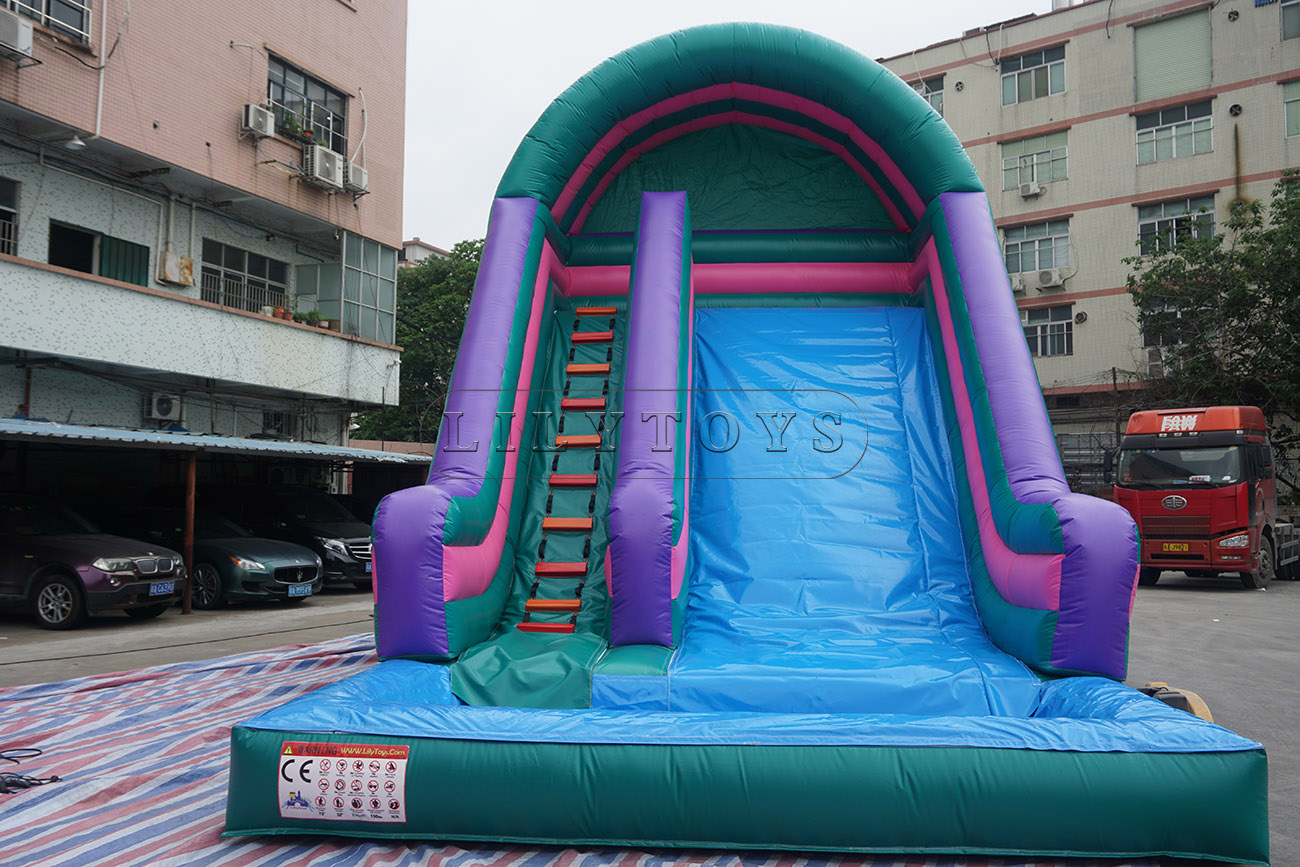Frozen inflatable water slide  with pool