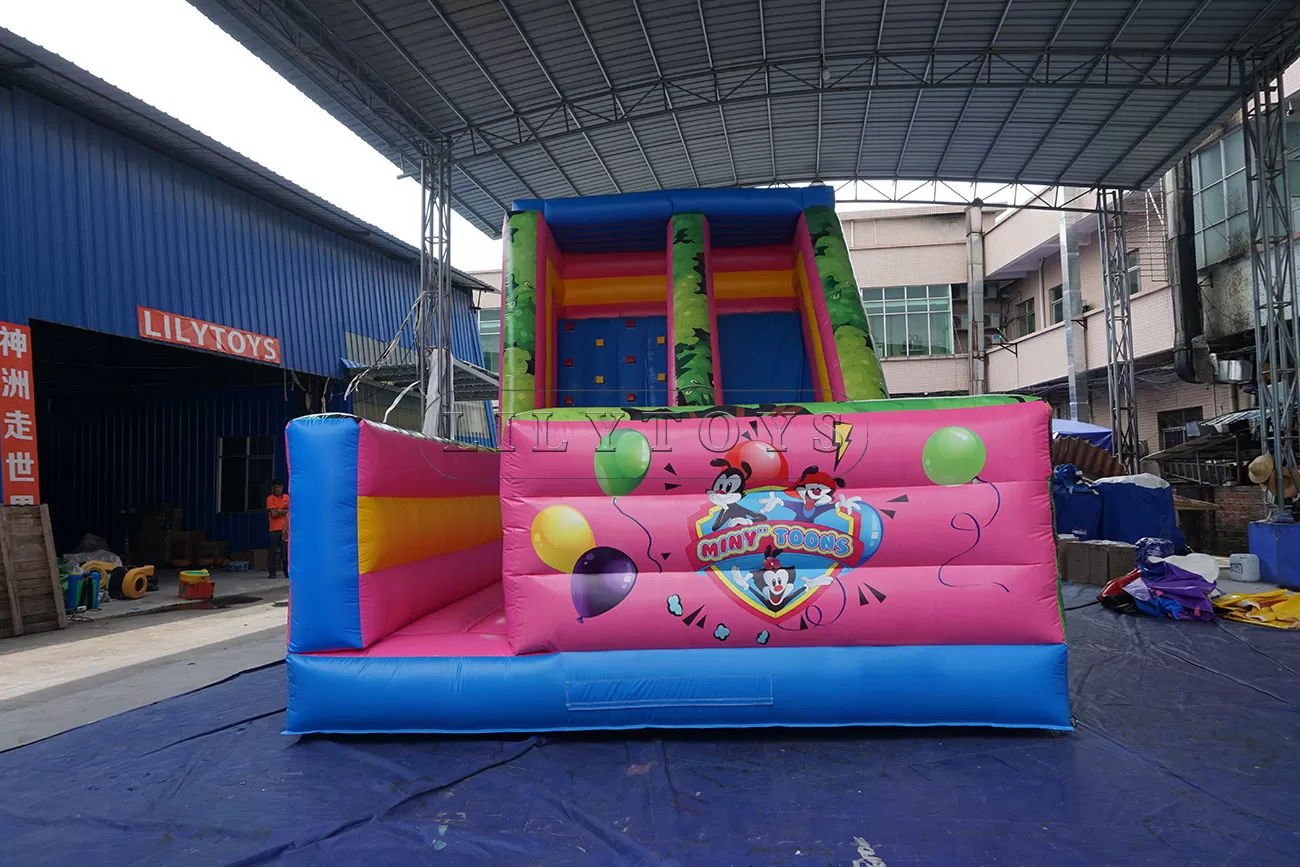 Inflatable dry slide with rock climbing