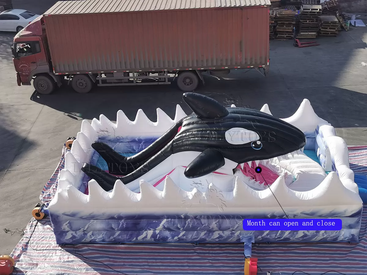 white wave shark inflatable playground