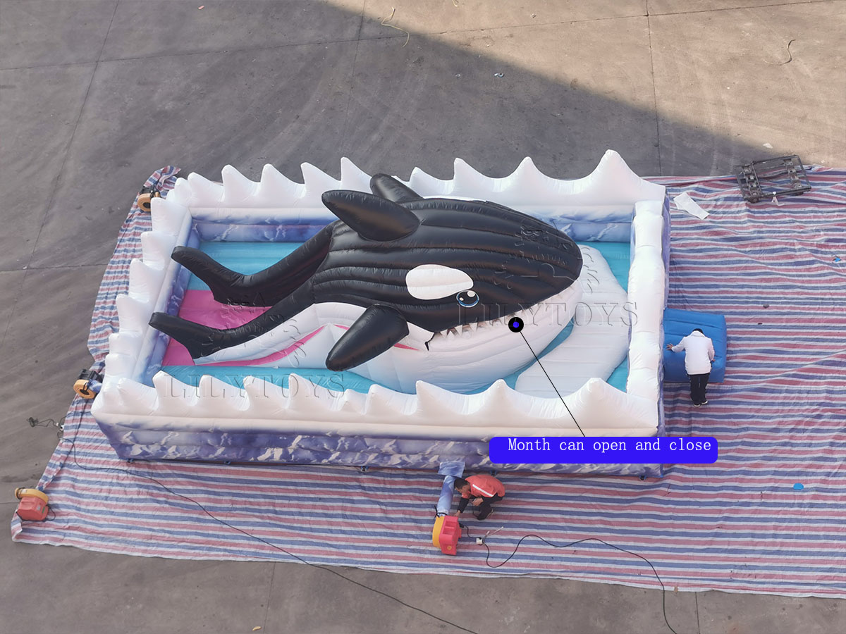 white wave shark inflatable playground