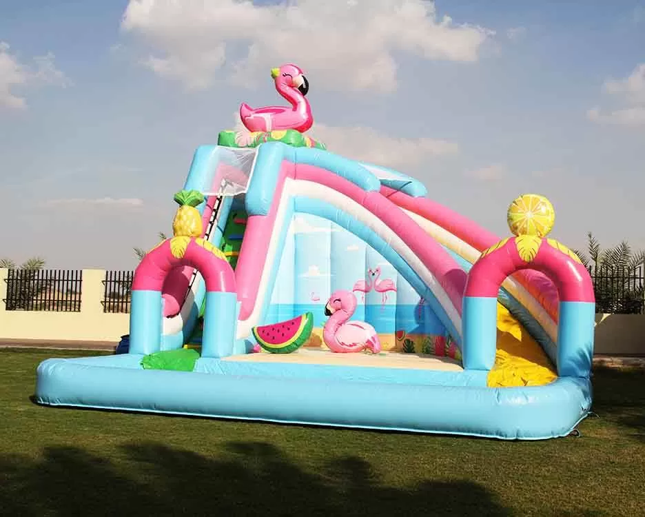 Inflatable water slide with pool