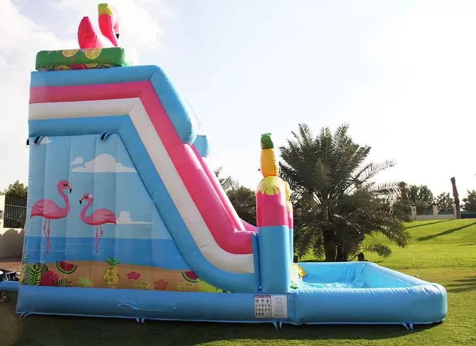 Inflatable water slide with pool