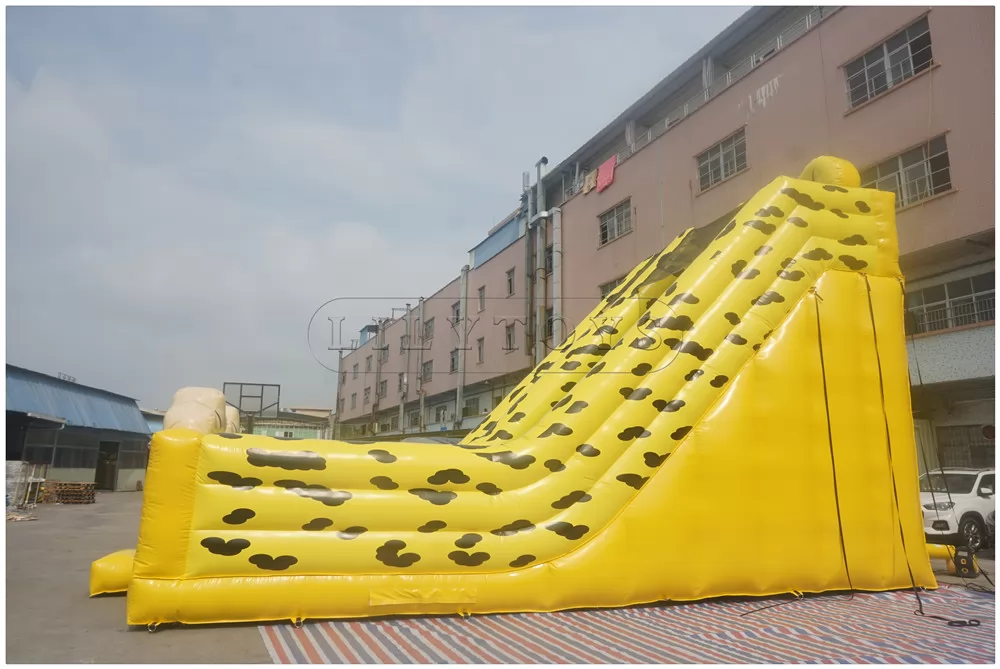 inflatable dryslide -10