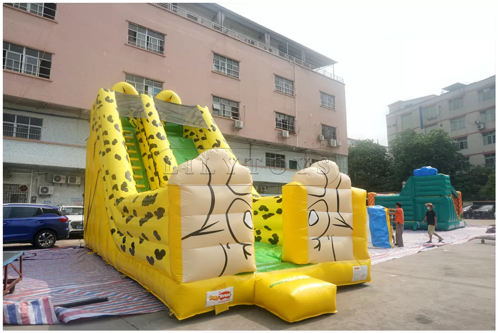 inflatable dryslide -10