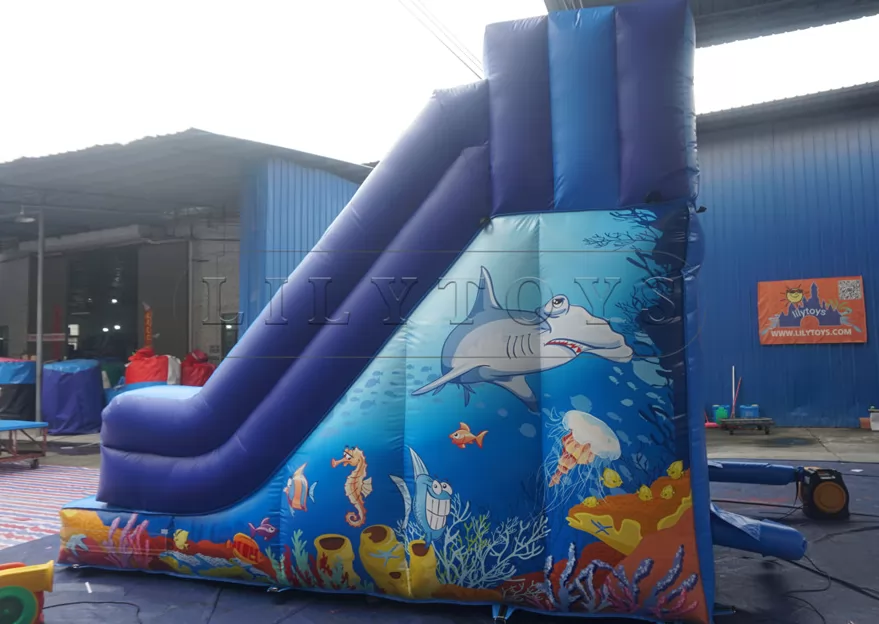 inflatable dryslide-24