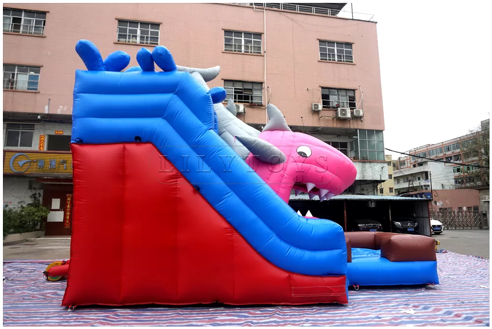 inflatable dryslide -87